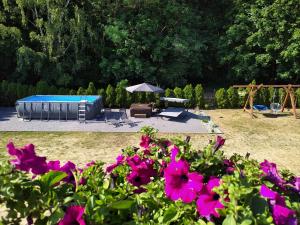 a garden with a swimming pool and purple flowers at Pokoje Gościnne Ontario Mieroszyno in Jastrzębia Góra