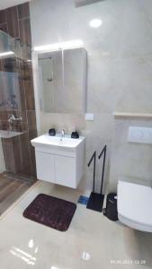 Ένα μπάνιο στο Apartments LORA Susanj #39