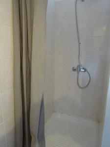 y baño con ducha con cortina de ducha y aseo. en Appartement Lisa, en Lézignan-Corbières
