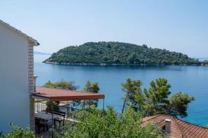 a view of a body of water with an island at Panoramic Apartments Anić in Blato