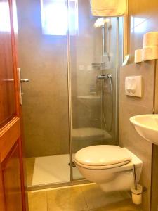 a bathroom with a shower and a toilet and a sink at Villa Gradina in Ba&scaron;ka Voda