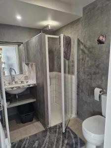 a bathroom with a shower and a toilet and a sink at Hameau de la Brelaudière in Jullouville-les-Pins