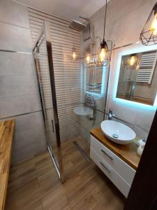 a bathroom with a shower and a sink and a mirror at Studio 61 Apartment in Ełk