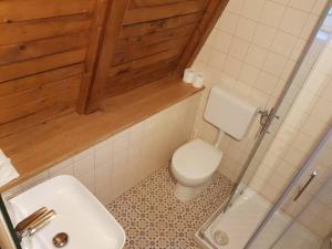 uma casa de banho com um WC e um lavatório em Rustical cottage with indoor fireplace em Sodražica