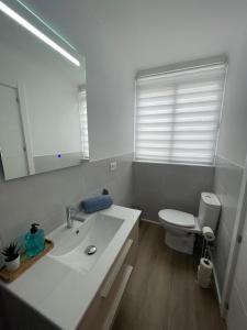 ein Badezimmer mit einem Waschbecken, einem WC und einem Spiegel in der Unterkunft Blanco y Añil Plaza in Valdepeñas