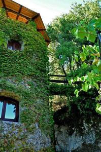 Zahrada ubytování Villa Melolia