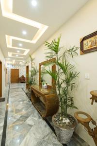 a hallway with a mirror and a potted plant at Midways Guest House and Hotels in Islamabad