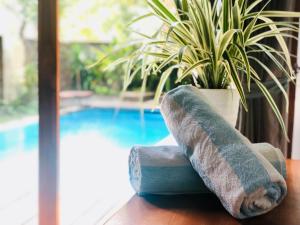 Sundlaugin á Coco Garden Pool Villas eða í nágrenninu