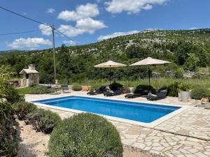 uma piscina com cadeiras e guarda-sóis num quintal em Finca DIDA em Brštanovo