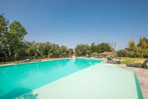 a swimming pool at a resort with chairs and trees at Fortilizio di Campiglia Il Pero in Rapolano Terme