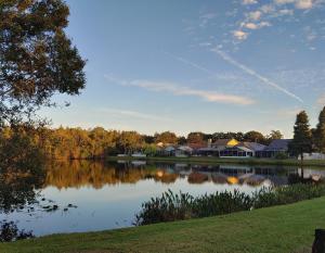 mit Blick auf einen See mit Häusern und Eigentumswohnungen in der Unterkunft Cozy and Conveniently located Pool Home with Free WiFi in Tampa