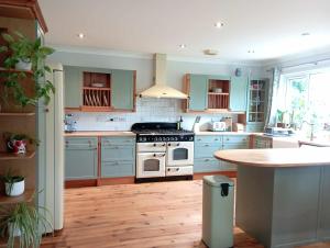 a kitchen with blue cabinets and a stove top oven at Scottish sea view near beach in Cockburnspath