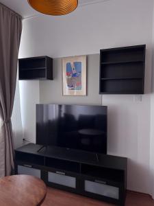 TV a/nebo společenská místnost v ubytování Hotel Avion