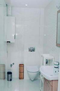 ヴィスワにあるApartament - Stara Szkołaの洗面台とトイレを備えた白いバスルーム