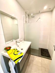 ein Bad mit einem Waschbecken und einer Dusche in der Unterkunft Cashmere, Aix en Provence grand T2 avec jardin en ville in Aix-en-Provence