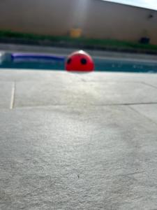 a red ball is in a swimming pool at Villa Joly in Le Lamentin
