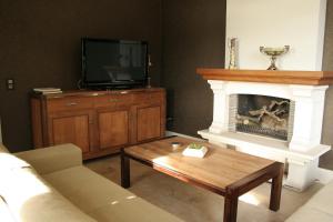 uma sala de estar com lareira e televisão em N°5 Lumen em Flobecq