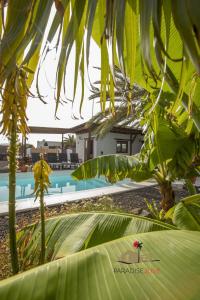 a view of a pool from behind some palm trees at Villa Luz in Lajares