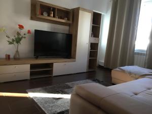 a living room with a television and a couch at Central Home in Piatra Neamţ