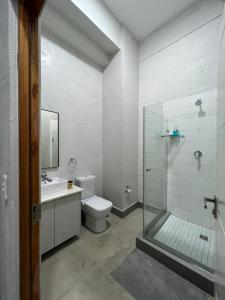 a bathroom with a shower and a toilet and a sink at Modern 1 bedroom apartment in Braamfontein Werf in Johannesburg