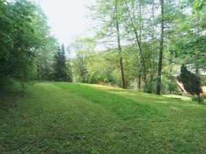 a field of green grass with trees in the background at Haus Gaia in Frauenstein