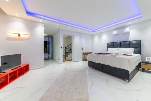 une grande chambre avec un lit et une télévision dans l'établissement Villa merysu, à Kaş