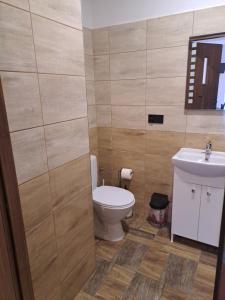 a bathroom with a toilet and a sink at Noclegi u Wandy in Ropienka