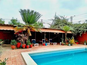 a house with a swimming pool and palm trees at LA SIESTA-Hotel in Sullana