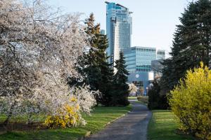 a path through a park with trees and buildings at Studio Świętojańska in Gdynia