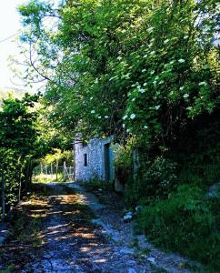 ein kleines Steingebäude unter einem Baum auf einer unbefestigten Straße in der Unterkunft San leone. Secluded barn in Tortorici