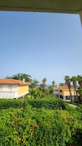 a view from a window of a building with trees and flowers at Sea's Chalet in Fontane Bianche