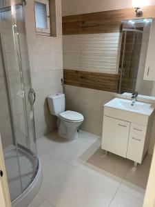 a bathroom with a toilet and a shower and a sink at Adam Apartman in Hajdúszoboszló +52 photos