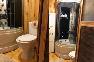 a bathroom with a toilet and a shower at Czekoladowy Domek in Nadkole +11 photos