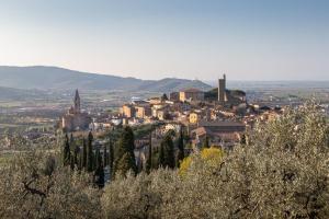 a town on a hill with trees and buildings at Camera Romantica con Giardino in Dimora Storica - B&B Palazzo Robicci in Castiglion Fiorentino