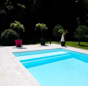 a blue swimming pool with two potted trees in a yard at Aux Couleurs d'Alsace in Ostwald