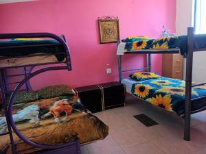 a room with two bunk beds and a pink wall at Hospedaje Barato Mi Casita de Colores in Tijuana