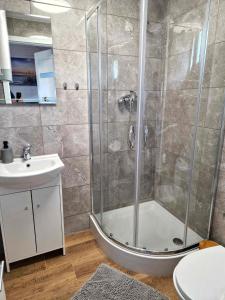 uma casa de banho com um chuveiro e um lavatório. em Fajne domki em Ustronie Morskie