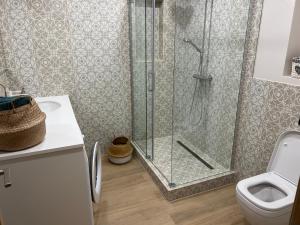 a bathroom with a shower and a toilet at Roja Lux Apartment in Roja +10 photos