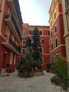 a courtyard with a tree in front of a building at Holiday Home Il Sogno A San Pietro in Rome