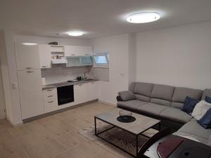 sala de estar con sofá y cocina en Apartmani CARPE DIEM en Draškovec