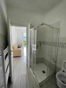 瓦多利古雷的住宿－Winter，带淋浴和卫生间的浴室