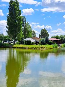 an island in the middle of a lake at Grapeline Guesthouse in Chotín