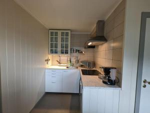 eine kleine Küche mit weißen Schränken und einem Waschbecken in der Unterkunft Hardangerfjord view 1 in Kvam