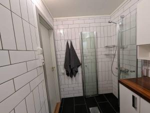 La salle de bains est pourvue d'une douche et d'une douche vitrée. dans l'établissement Hardangerfjord view 1, à Kvam