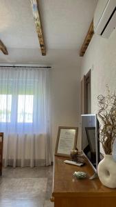 TV a/nebo společenská místnost v ubytování Apartmani Subotic