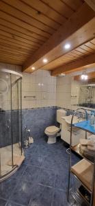 uma casa de banho com um chuveiro, um WC e um lavatório. em Apartments Oman em Kranjska Gora