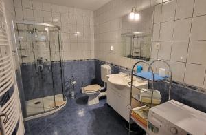 クランスカ・ゴーラにあるApartments Omanのバスルーム(シャワー、トイレ、シンク付) +28枚の写真
