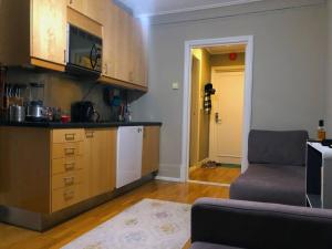 ein Wohnzimmer mit einer Küche und einem Sofa in der Unterkunft Super-central and attractive Apartment in Oslo