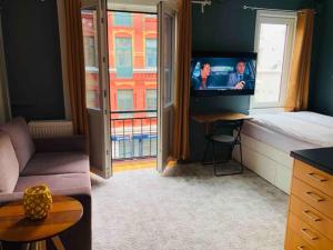 ein Wohnzimmer mit einem TV, einem Bett und einem Fenster in der Unterkunft Super-central and attractive Apartment in Oslo