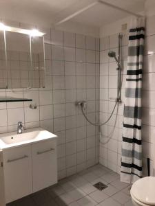 a bathroom with a shower and a sink and a toilet at Erfurt City -Schildchensmühle in Erfurt